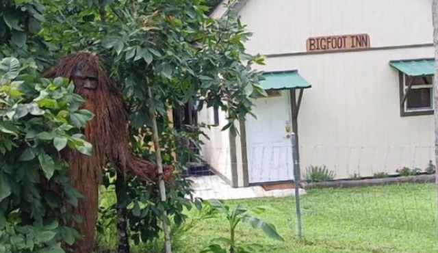 Bigfoot Inn -cabin with loft -near Illinois River
