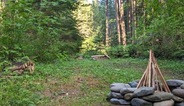 Bigfoot's Bivvy Tent Site ~8 mi to Mt. Rainier Natl Park Nisqually Entrance