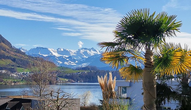 Bijou on Lake Lucerne