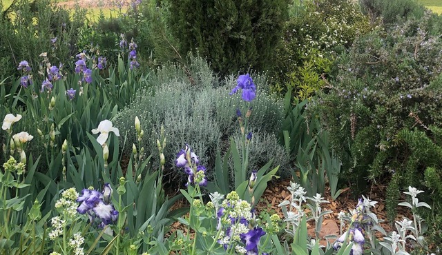 Bijoux Cottage near Cognac