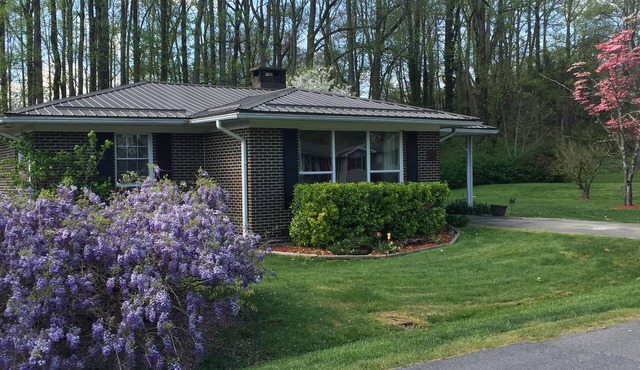 Bike/hike/play! 1/2 mile to Pisgah Nat'l Forest, 7 miles to DuPont. Clean&close