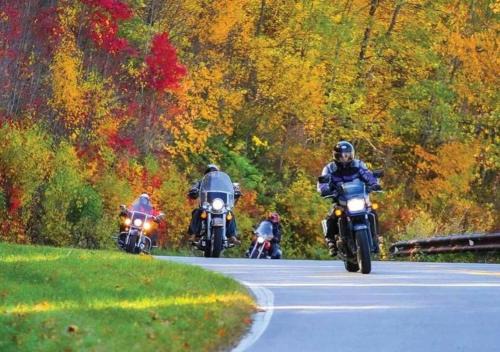 Biker-Friendly Cabin, Pets Welcome, Near River