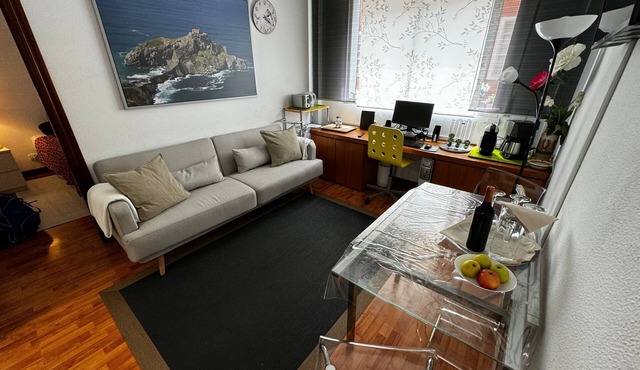 Bilbao Deusto, 3 Bedr. 4p. Free garage, wifi, tele work.