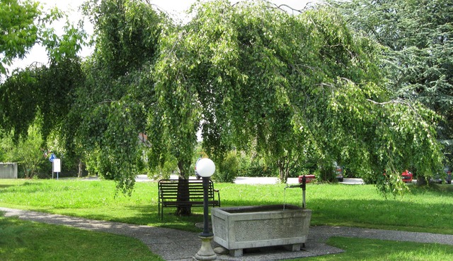 Bildungszentrum Burgbühl