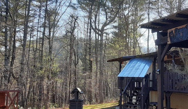 BILLY BEAR -3 BED 2 BATH wifi 3 roku tv,s dvd players sleeps 4