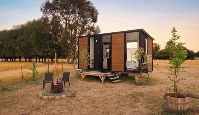 Billy Button by Tiny Away