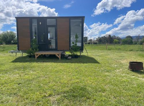 Billy Button by Tiny Away