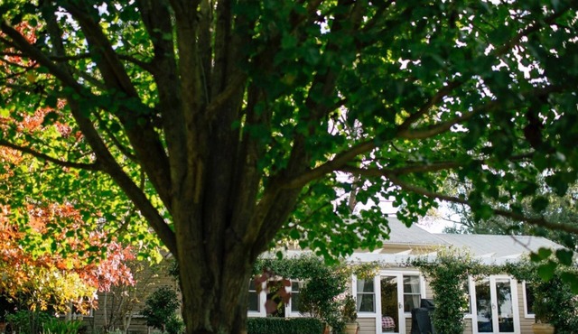 Bimbadgen Cottage. 10 mins from town.