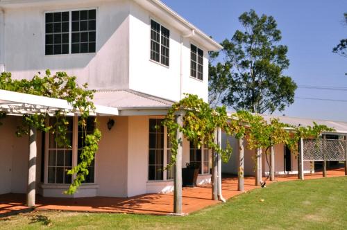 Bimbadgen Estate Vineyard