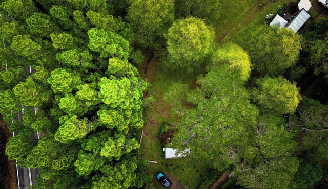 Binderaga Old Orchard by Tiny Away