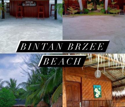 Bintan Brzee Beach in Bintan Island - Bungalow 1