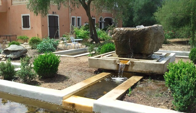 Biodynamic vineyard of sartenais