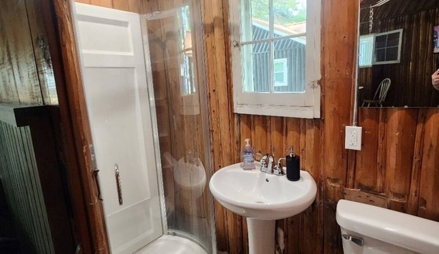 Birch Cabin