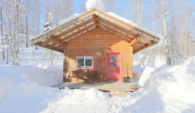 Birch Cabin