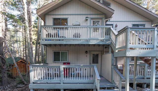Birch Creek #1, remodeled unit located 1/2 mile from June Mountain in the trees!