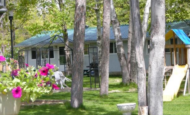 Birch Haven by the Beach