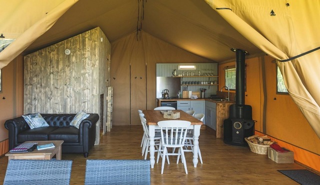 Birch Safari Tent, the perfect family and dog friendly glamping site, Devon