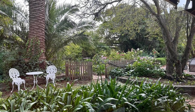 Birch Studio Koroit - Peaceful, Relaxing, Tranquil