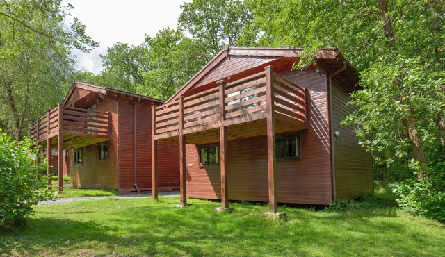 BIRCH TREE, family friendly in Halwill Junction