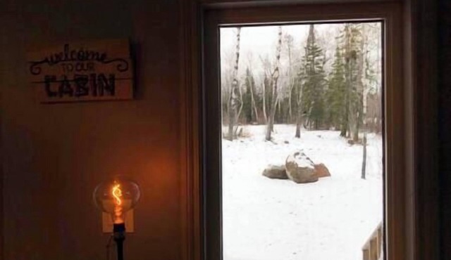 Birchforest Bungalow