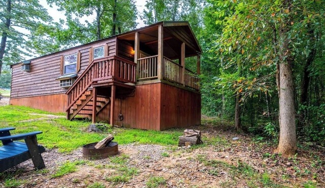 BirchWood: Sleep 5 Tiny Cabin, Pet, Near Park/Lake