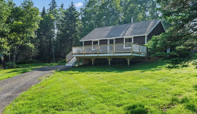 Birchwoods | Comfortable living in a private, natural setting | dog friendly