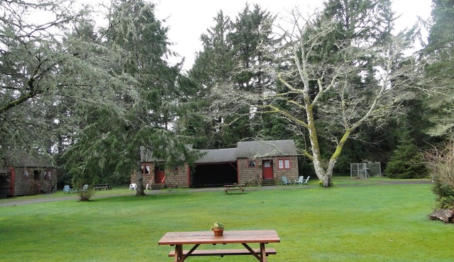 Bird cottage- Studio