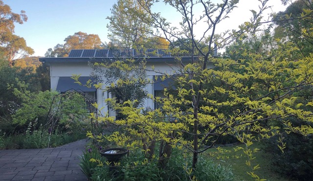 Bird Hill - A Garden Retreat in the Yarra Valley - Get Up Close to Native Birds