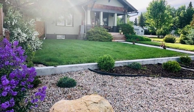 Bird House on Lobban