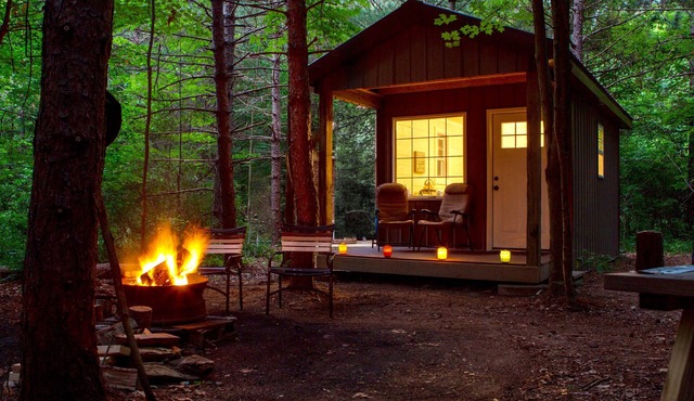 BIRD HOUSE - ROMANTIC - OFF GRID - WINE TRAIL CABIN - Pet Friendly! 4 Seasons