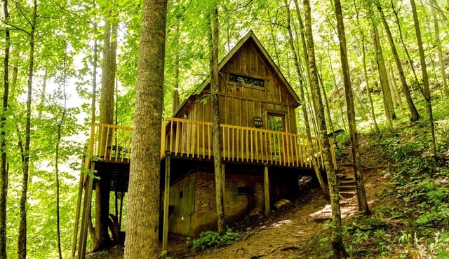 Bird Nest Cabin: A Charming Hideaway Close to Natural Bridge, Dining, and Trails