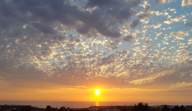 Bird Of Paradise Oceanview Penthouse