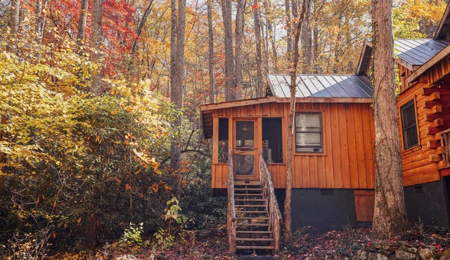 Bird's Nest cabin at Saluda Grade Cabins!
