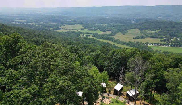 Bird's Nest Spruce at Treetop Escapes!