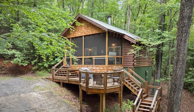 Bird Song Cabin: Romantic-Cozy-w/Hot Tub-Fast WiFi near Helen, GA. Pet-Friendly!