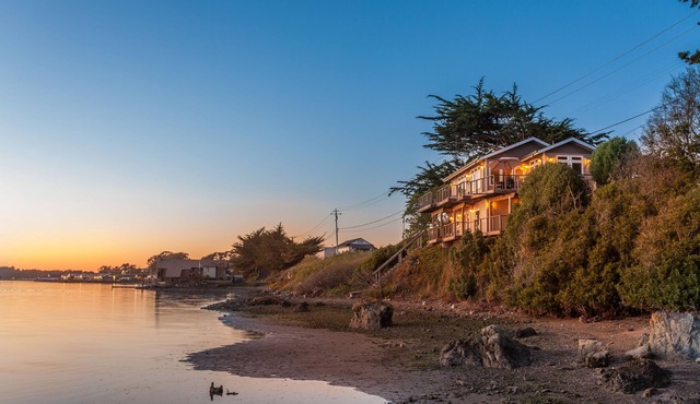 Bird Watch @ Land's End with Amazing Views of the Harbor and Pacific Ocean