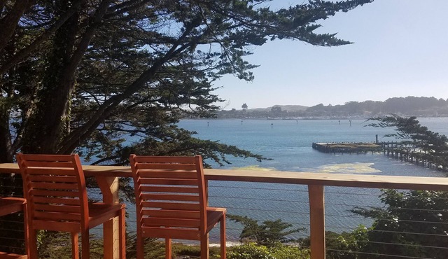 Bird Watcher Paradise 2 Bedroom 2 Bath with Beautiful View