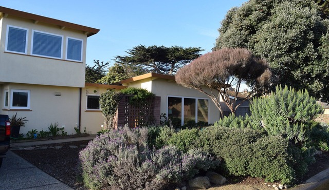 Birdies, Beaches and Butterflies in Pacific Grove! Pet Friendly-Premier location