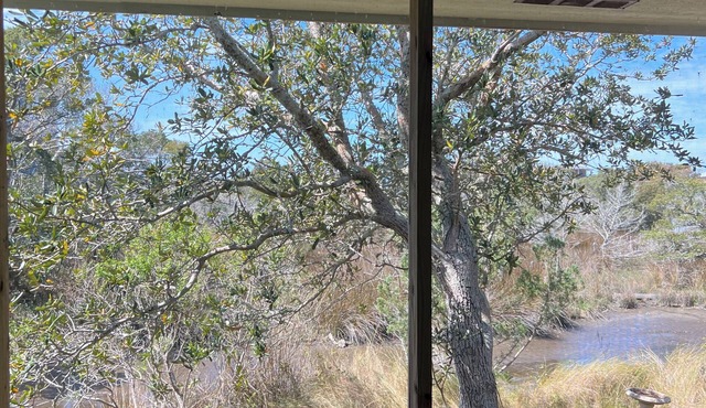 Birdland: Private tiny house with marsh views and kayak access