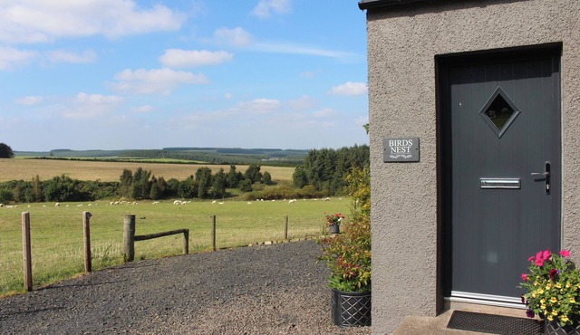 BIRDS NEST, family friendly, character holiday cottage in Jedburgh