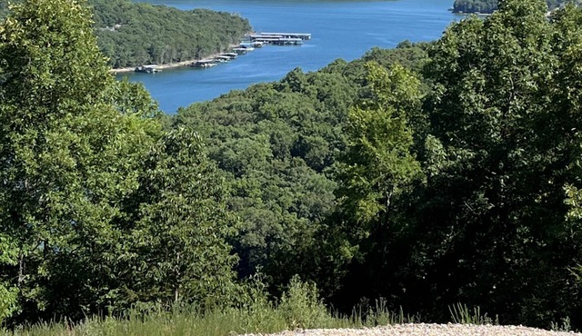 BIRDSONG- House and Tiny Cabin-Beautiful Lakeview! Near Marina and Boat Launch