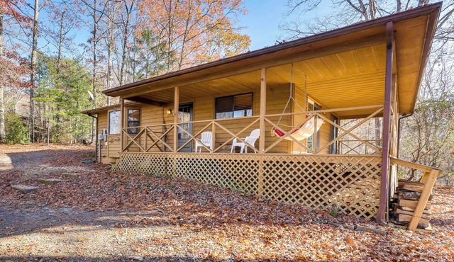 Birdwatching, Board Games & BBQs: Cabin in Murphy!