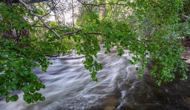 Bishop Creek Retreat