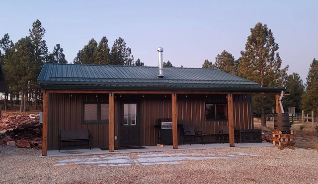 Bison Pines-Peace & Quiet South of Custer on 51 acres. No Cleaning Fee!