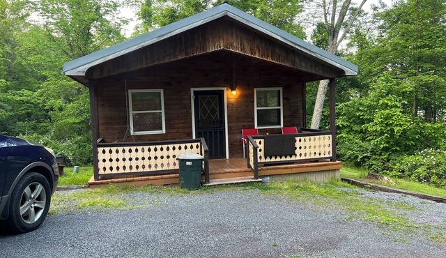 Bitter Goose Cabin - Private, Sleeps 6, Fire Pit, Swimming Pool, 15 minutes to Lake Raystown