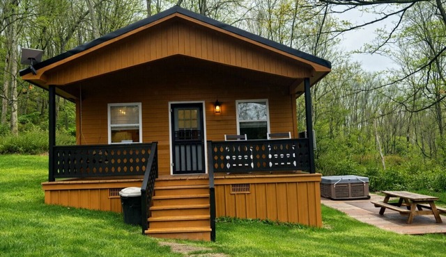Bittergoose Cabin- Near Raystown