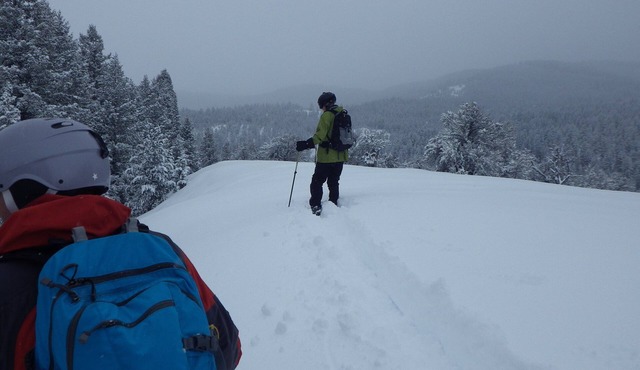 Bitterwater Touring Amazon Cabin