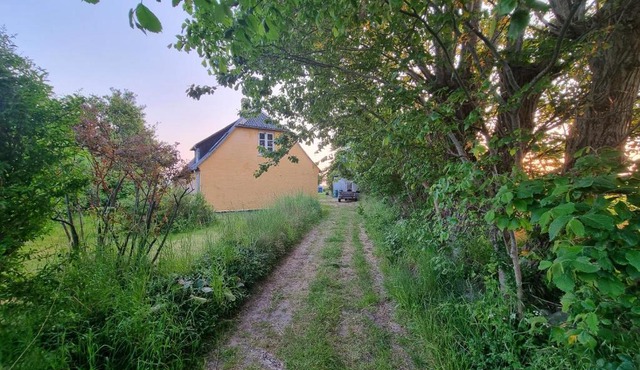 Bjørnø Vingård B&B - bed&bath