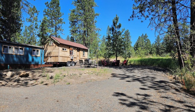 Black Bear Bungalow:Cozy tiny home in enchanting wooded Spokane with AC