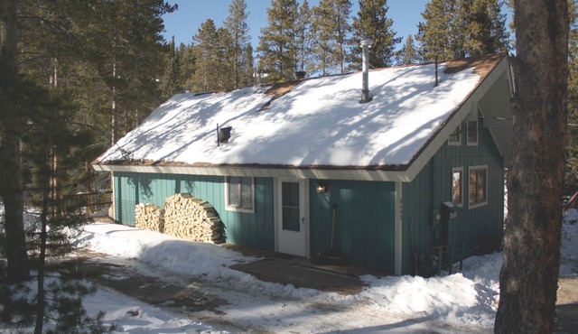 Black Bear Crossing: Pet-Friendly Bliss with a Touch of Retro Nostalgia